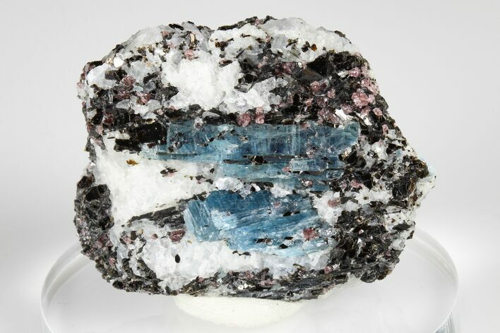 Blue Kyanite & Garnet in Biotite-Quartz Schist - Russia #178943